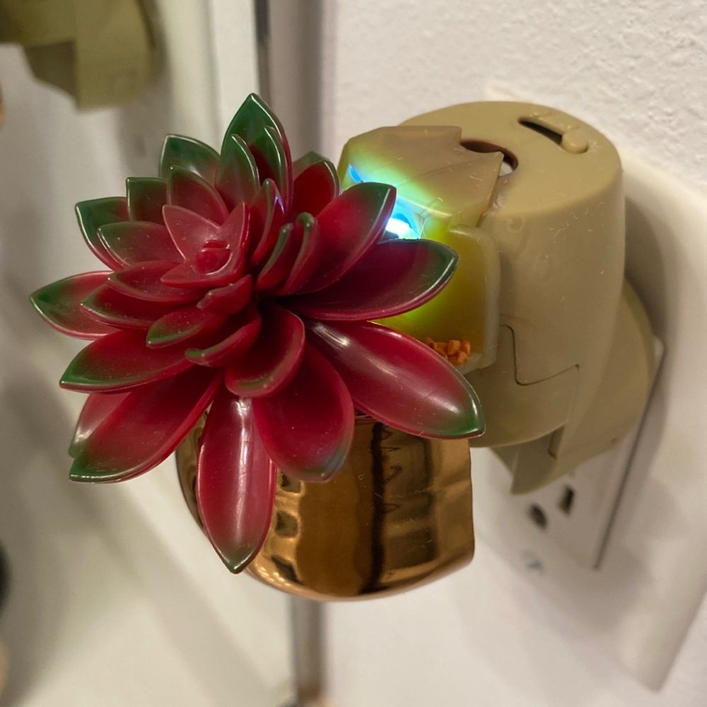 Yankee candle succulent light up plug in